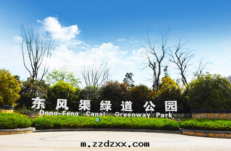 1593506667517629.jpg 1593506031(1).jpg