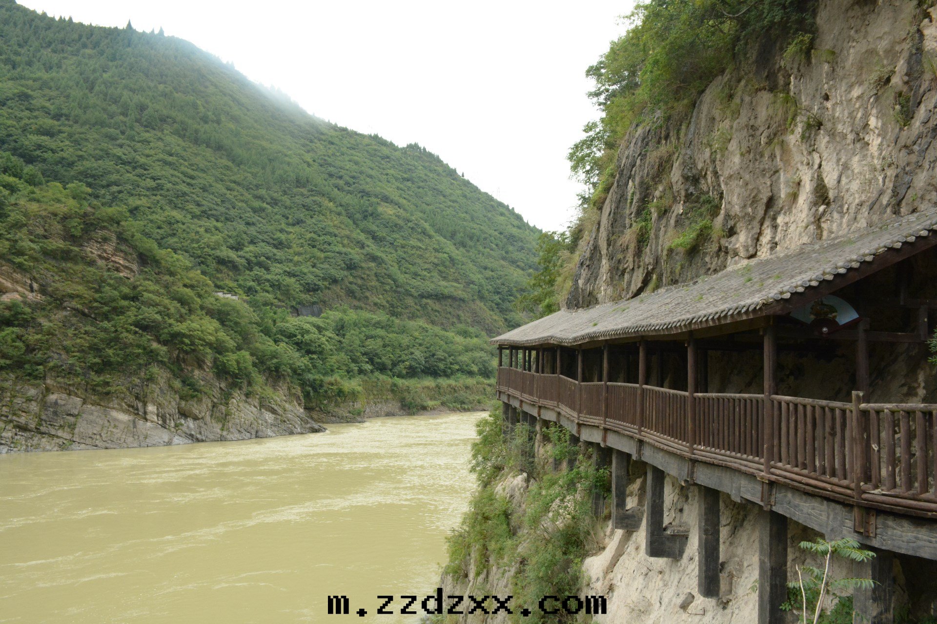 1597729775100229.jpg DSC_2848.JPG